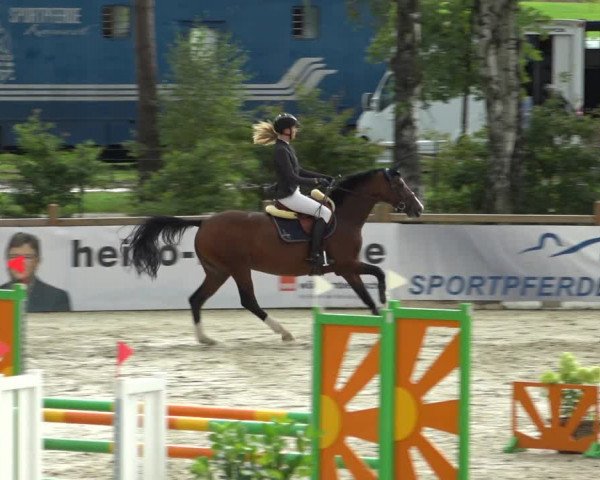 Reitturnier Westergellersen 2021
