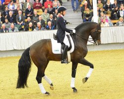 stallion Franziskus FRH (Hanoverian, 2008, from Fidertanz)