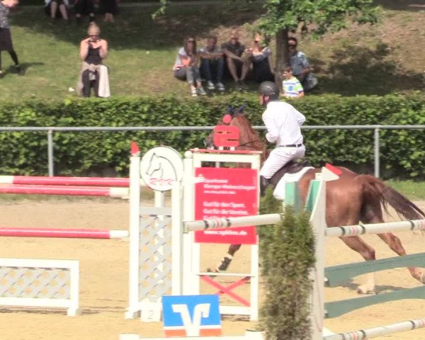 Kiersper Reitertage 2018