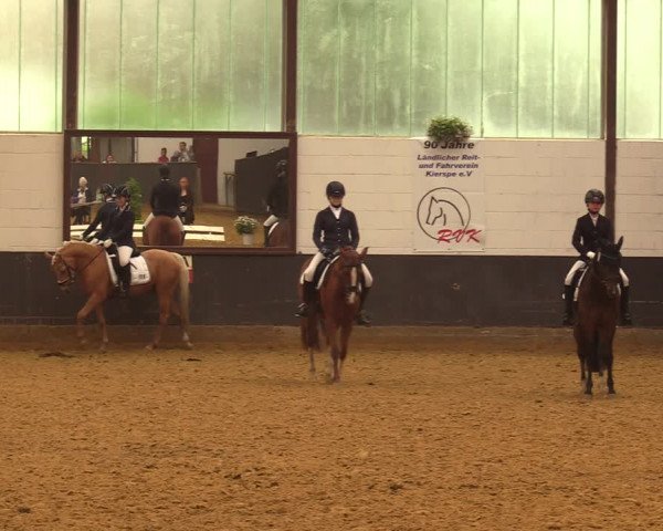 Kiersper Reitertage 2018