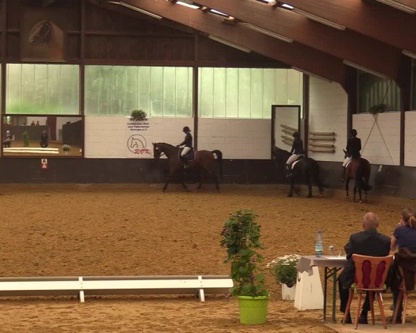Kiersper Reitertage 2018