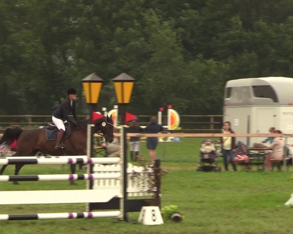 Reitturnier Schillerslage 2018