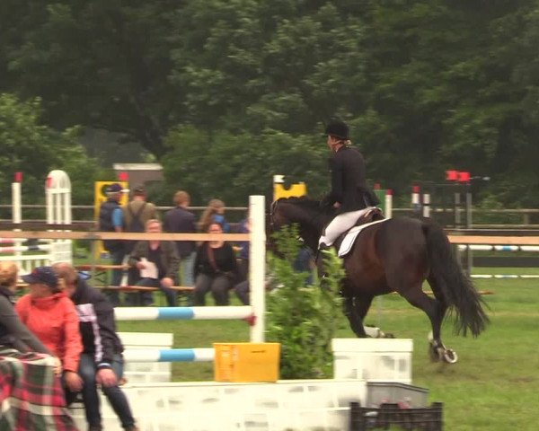 Reitturnier Schillerslage 2018