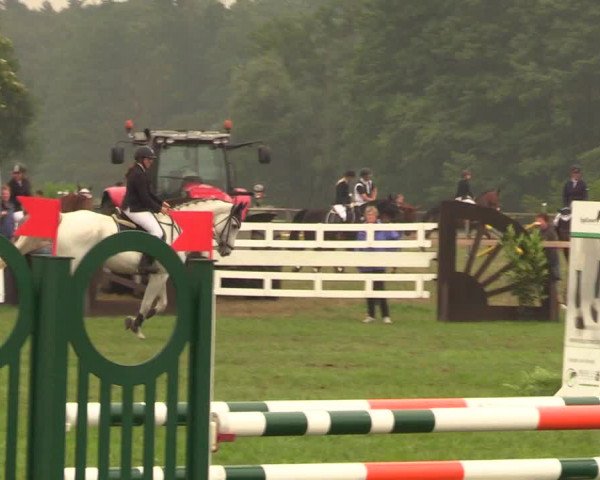 Reitturnier Schillerslage 2018