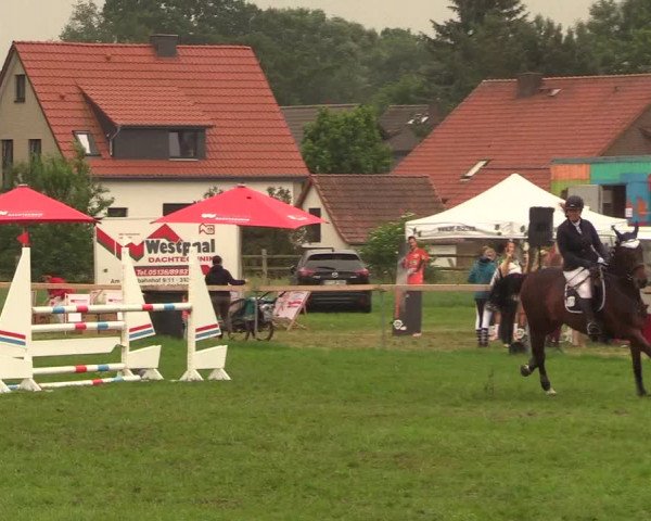 Reitturnier Schillerslage 2018