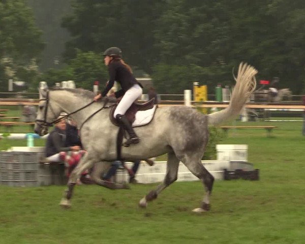 Reitturnier Schillerslage 2018