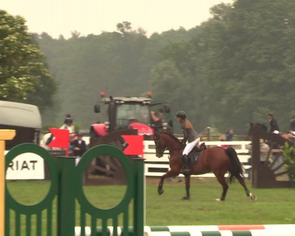 Reitturnier Schillerslage 2018