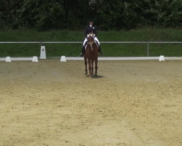 Reitturnier Ladenburg 2018