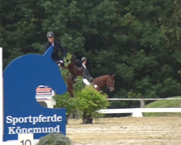 Reitturnier Burscheid-Paffenlöh 2018