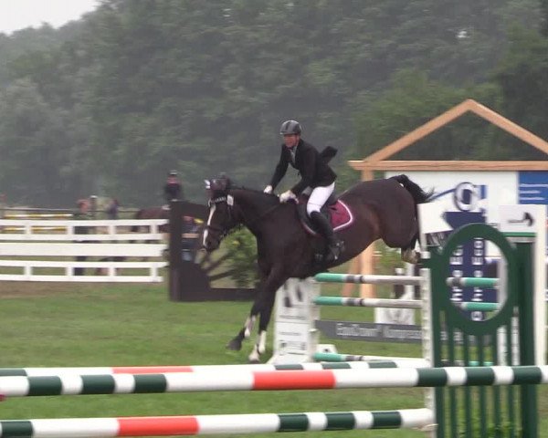 Reitturnier Schillerslage 2018