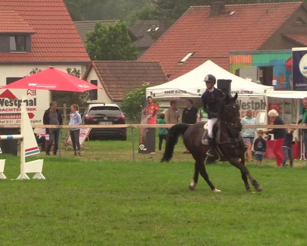 Reitturnier Schillerslage 2018