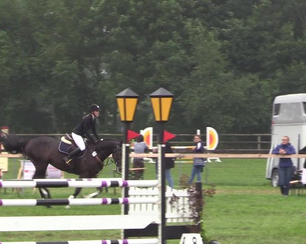 Reitturnier Schillerslage 2018