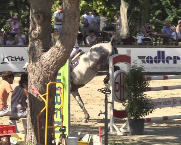 Reitturnier Viernheim 2018