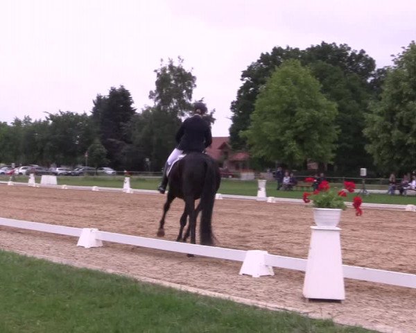 Reitturnier Hille 2018