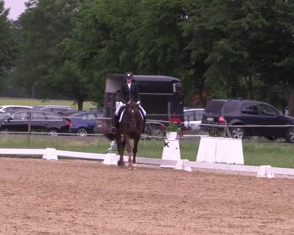 Reitturnier Hille 2018