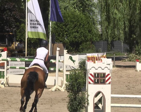 Reitturnier Viernheim 2018