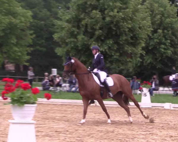 Reitturnier Hille 2018