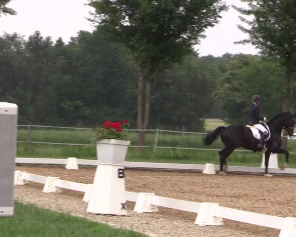 Reitturnier Hille 2018
