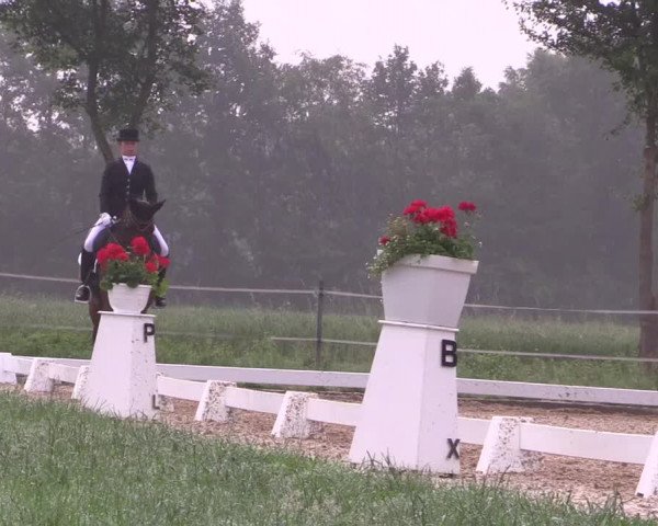 Reitturnier Hille 2018