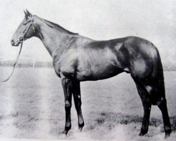 stallion Welsh Abbot xx (Thoroughbred, 1955, from Abernant xx)