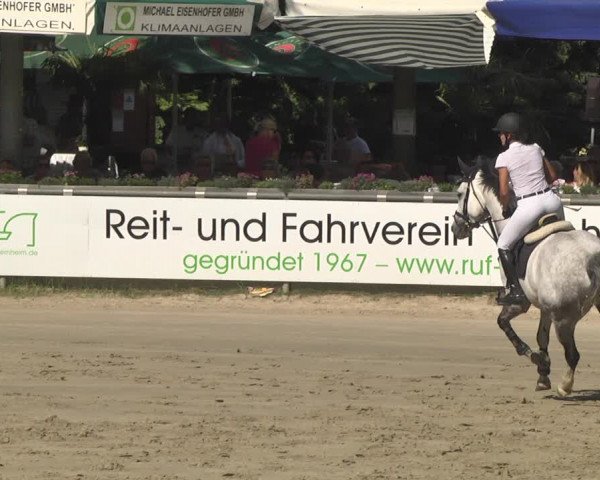 Reitturnier Viernheim 2018