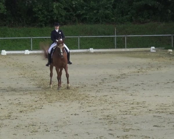 Reitturnier Ladenburg 2018