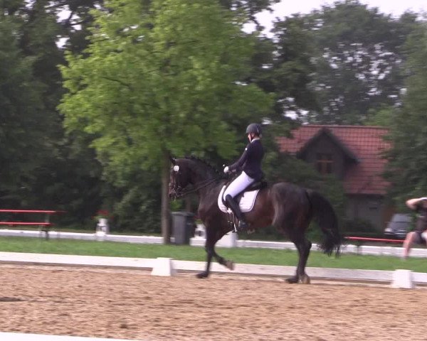 Reitturnier Hille 2018