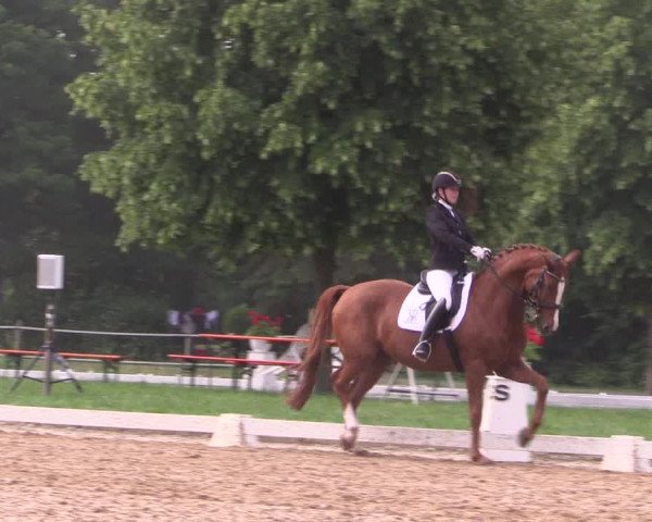 Reitturnier Hille 2018