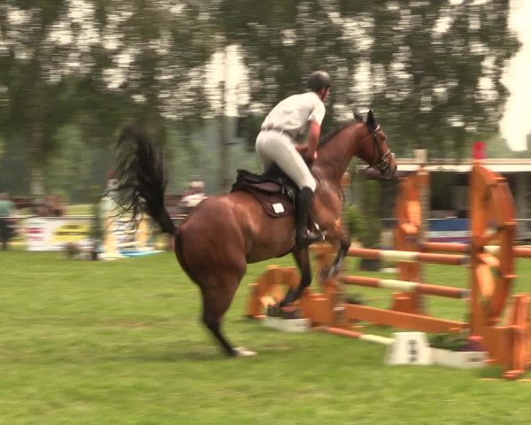 Reitturnier Hille 2018