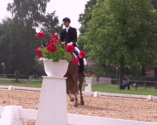 Reitturnier Hille 2018