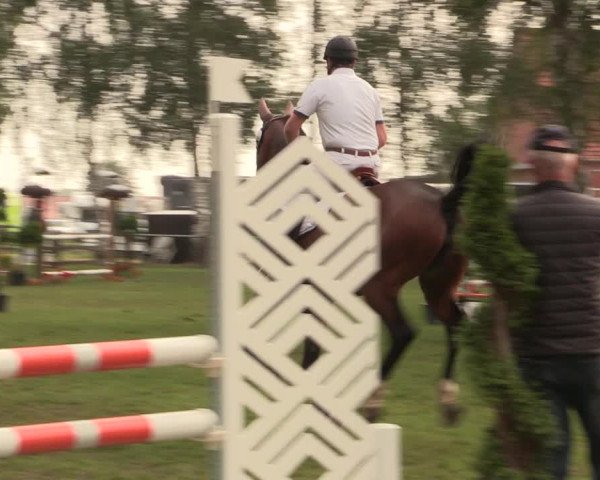 Reitturnier Hille 2018