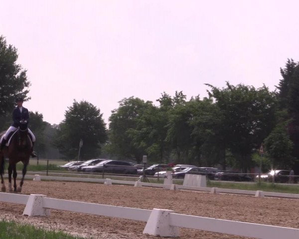 Reitturnier Hille 2018