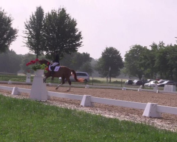 Reitturnier Hille 2018