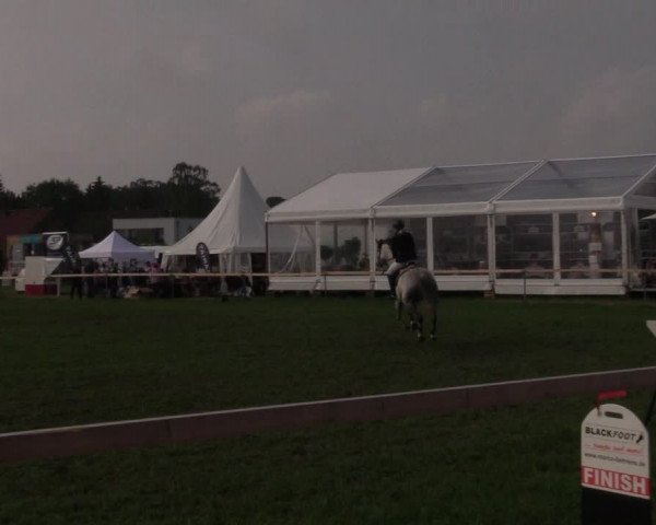 Reitturnier Schillerslage 2018
