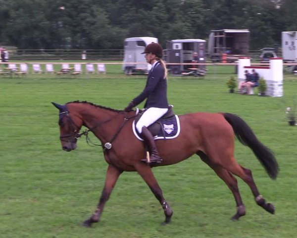 Reitturnier Schillerslage 2018
