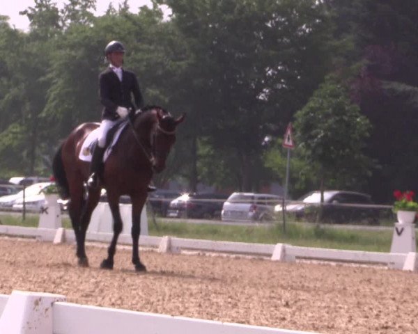 Reitturnier Hille 2018