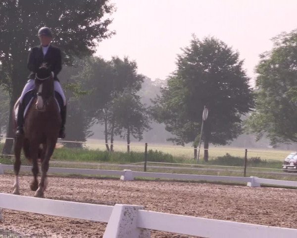 Reitturnier Hille 2018