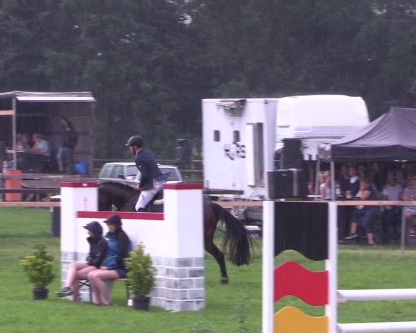 Reitturnier Schillerslage 2018