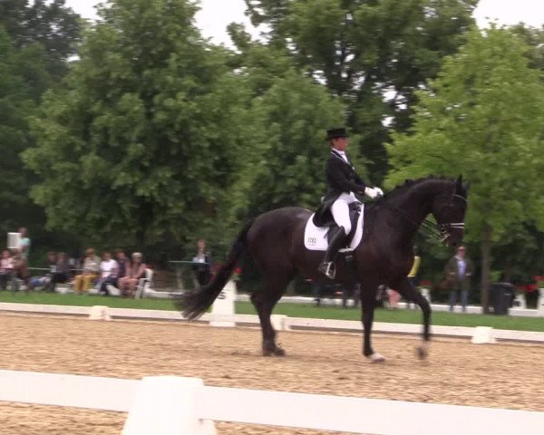 Reitturnier Hille 2018