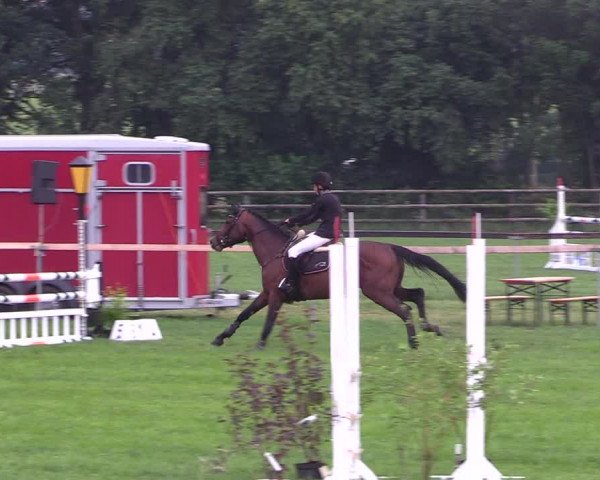 Reitturnier Schillerslage 2018