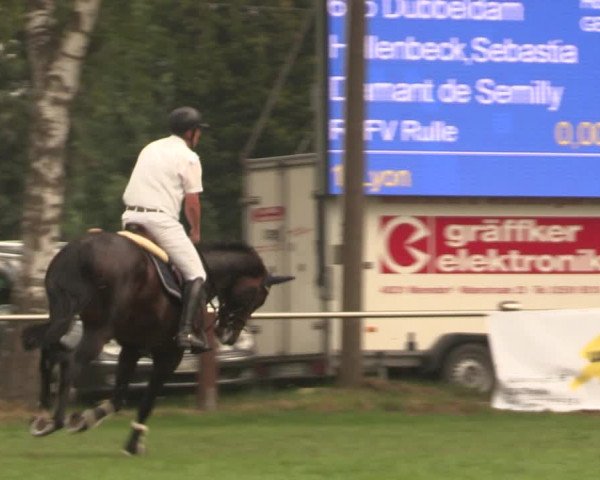 Reitturnier Hille 2018