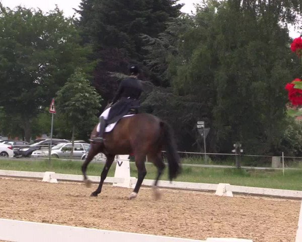 Reitturnier Hille 2018
