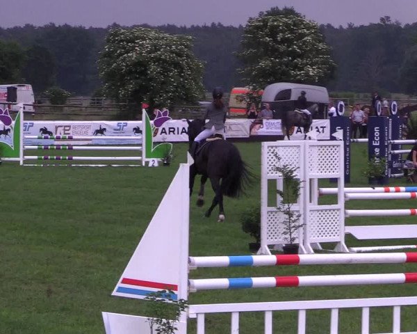 Reitturnier Schillerslage 2018