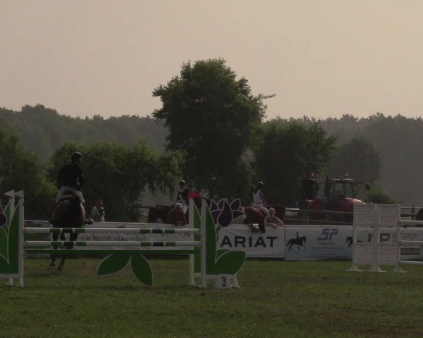 Reitturnier Schillerslage 2018