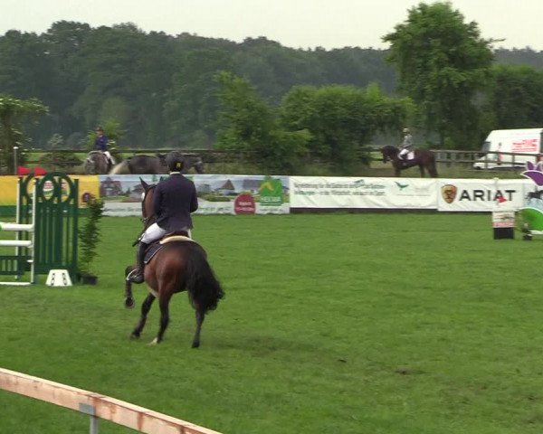 Reitturnier Schillerslage 2018