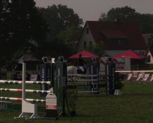 Reitturnier Schillerslage 2018