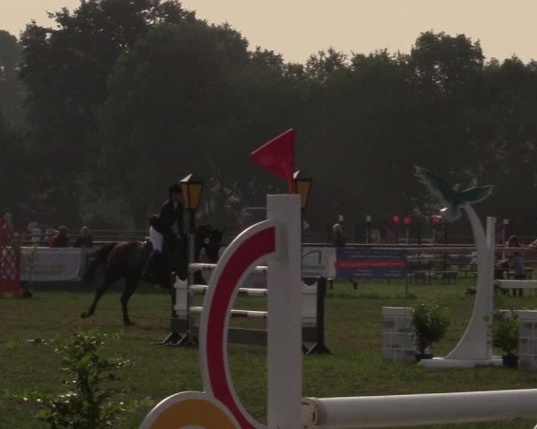Reitturnier Schillerslage 2018
