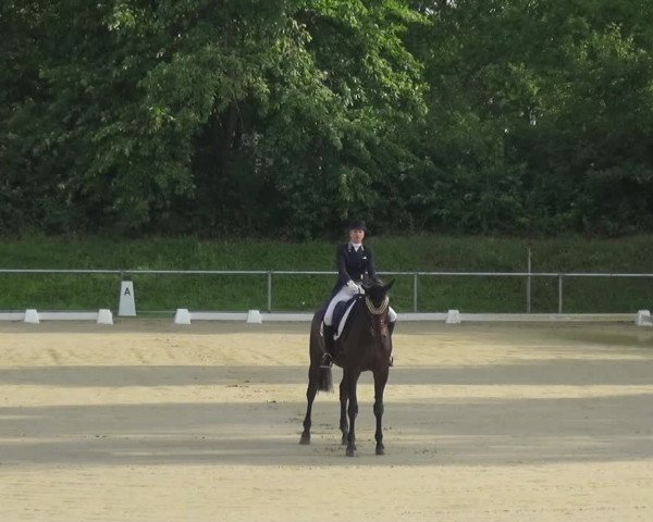 Reitturnier Ladenburg 2018