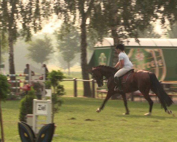Reitturnier Hille 2018