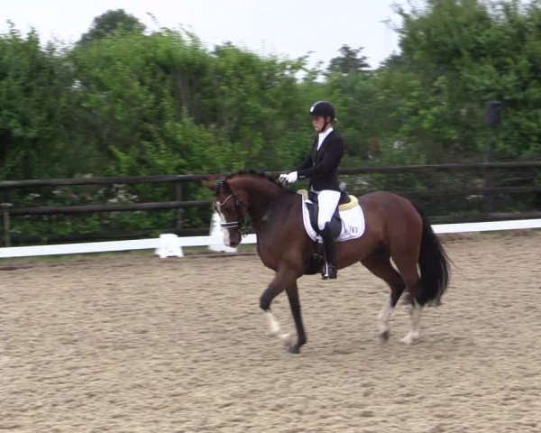 Reitturnier Schillerslage 2018